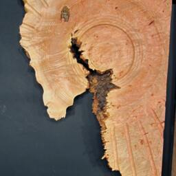 Sculpture Corona 15, Turned Wood, Lathe Sculpted Artwork, Wall Hanging, Art - thumbnail 3