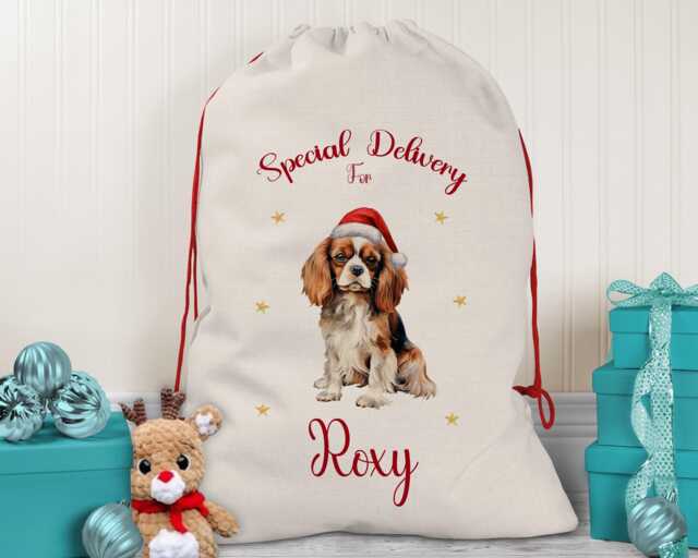 Personalised Cavalier King Charles Spaniel Large Christmas Sack Drawstring Bag For Xmas Presents Eve Box Decoration Dogs Xs083 - image 1