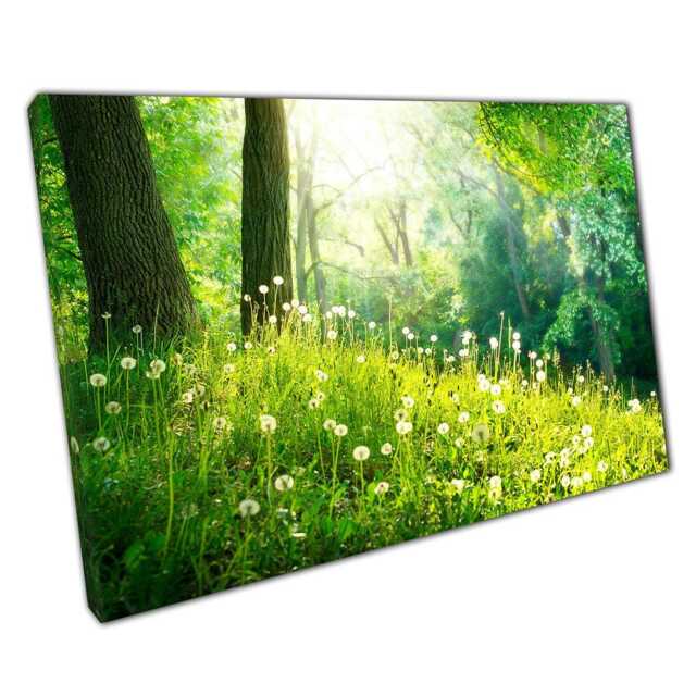 Botanical Dandelion Canvas Woodland Floor Art For Home & Office Walls - Nature-Inspired Green Print - image 1