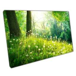Botanical Dandelion Canvas Woodland Floor Art For Home & Office Walls - Nature-Inspired Green Print - thumbnail 1