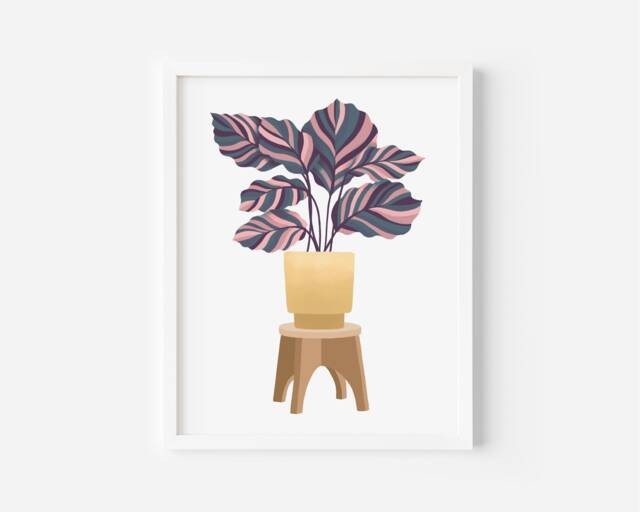 Present For A Plant Lover/Calathea Orbifolia Art Print Plant House Print Plastic Free Gift Eco - image 1