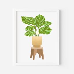 Present For A Plant Lover/Calathea Orbifolia Art Print Plant House Print Plastic Free Gift Eco - thumbnail 3