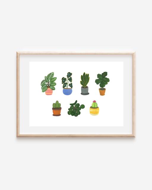 Houseplants Art Print Urban Jungle Botanical Illustration - image 1