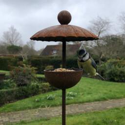 Canopy Bird Feeder - Rustic Metal Feeding Station Garden Present - thumbnail 2