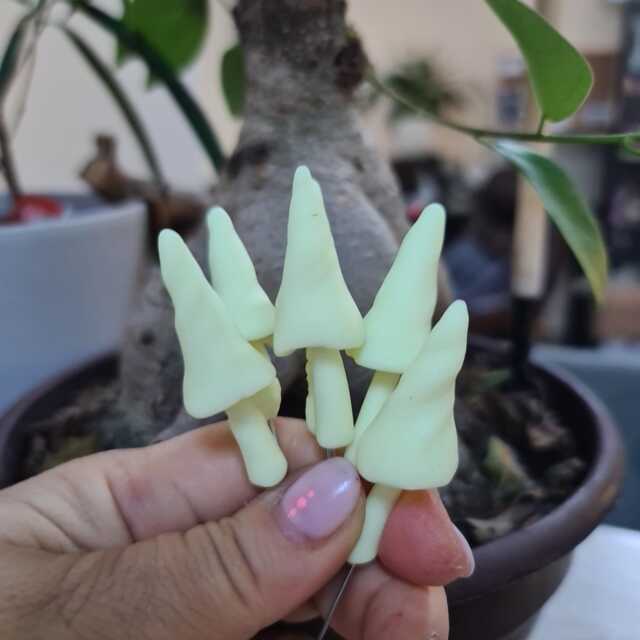 Set Of Six, Magic , Glow in The Dark Mushrooms, Unusual Fairy Garden Decoration Plant Pot Decor - image 1