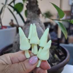 Set Of Six, Magic , Glow in The Dark Mushrooms, Unusual Fairy Garden Decoration Plant Pot Decor - thumbnail 4
