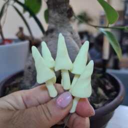 Set Of Six, Magic , Glow in The Dark Mushrooms, Unusual Fairy Garden Decoration Plant Pot Decor - thumbnail 1