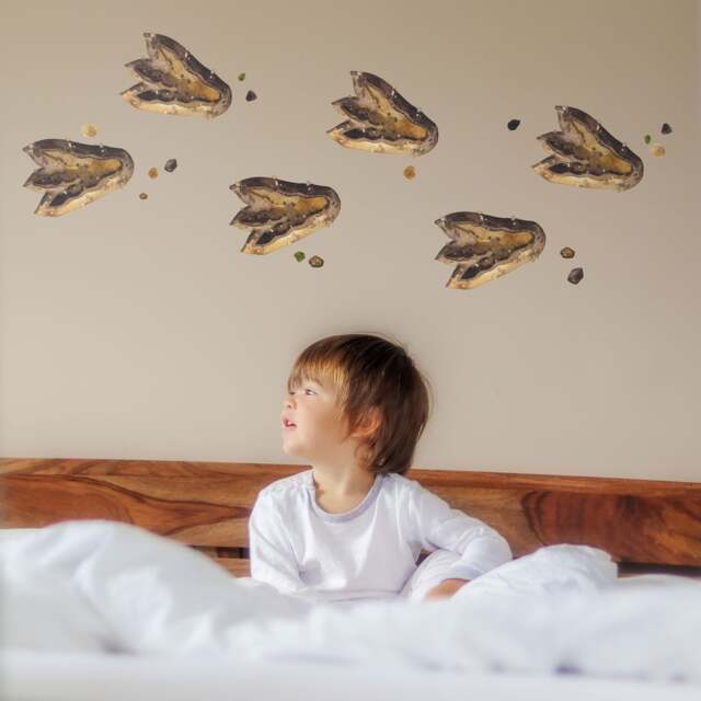 Dinosaur Footprint Wall Stickers, Decals, Stickers For Walls, Themed Room, Sticker, Dino Theme - image 1