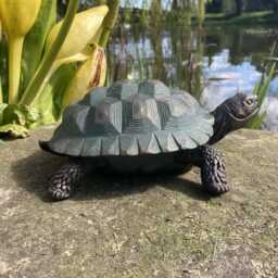 Resin Tortoise Pond/Garden Ornament - thumbnail 4