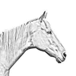 Retired Race Horse - Wooden Stand For Candles/Pens With The Image Of A New Collection - thumbnail 2