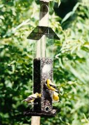 Sunflower Seed Bird Feeder All Purpose, 6-station - thumbnail 1