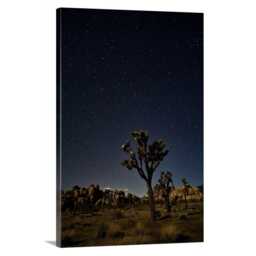 Joshua Tree Stars - National Park California - Poster Or Canvas - thumbnail 1