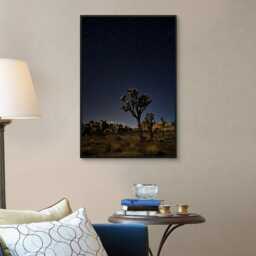 Joshua Tree Stars - National Park California - Poster Or Canvas - thumbnail 3