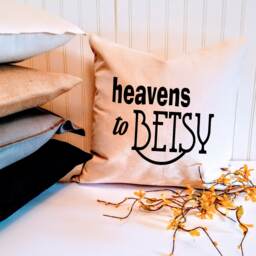Heavens To Betsy 18 Or 20 Inch Custom Southern Pillow Cover