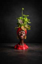 Afro Head Planter, Woman Bust Plant Pot With Gold Earrings - thumbnail 1