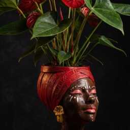 Afro Head Planter, Woman Bust Plant Pot With Gold Earrings - thumbnail 4