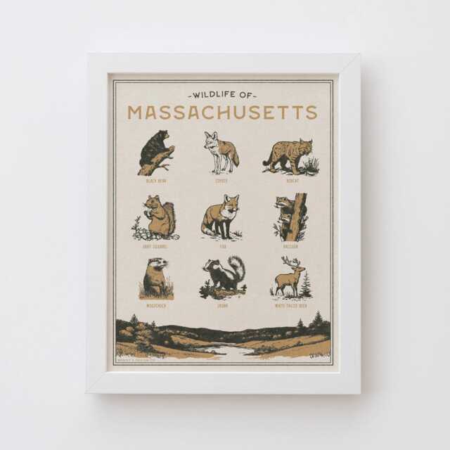 Massachusetts Wildlife Wall Art Print - Vintage Animal Poster Design, Archival Quality Matte Fine Art Print. Outdoor, Wilderness State Gift - image 1