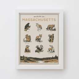 Massachusetts Wildlife Wall Art Print - Vintage Animal Poster Design, Archival Quality Matte Fine Art Print. Outdoor, Wilderness State Gift - thumbnail 1