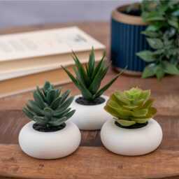 Artificial Succulent Planter in White Set Of 3 Small Plants, Shelf Home Decor, Office - thumbnail 2