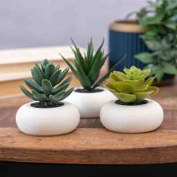 Artificial Succulent Planter in White Set Of 3 Small Plants, Shelf Home Decor, Office - thumbnail 1