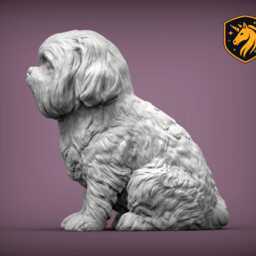 Shih Tzu - Sitting Pose - Unpainted Abs Resin Model - Realistic Dog Sculpture - thumbnail 4