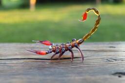 Glass Scorpion Figurine Scorpio Miniature, Emperor Sculpture - thumbnail 1