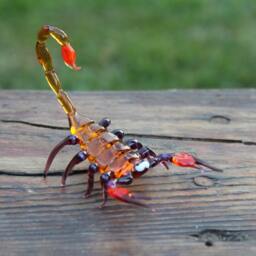 Glass Scorpion Figurine Scorpio Miniature, Emperor Sculpture - thumbnail 3