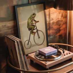 Frog Wall Art - Quirky Poster Unusual Print Funny - thumbnail 1