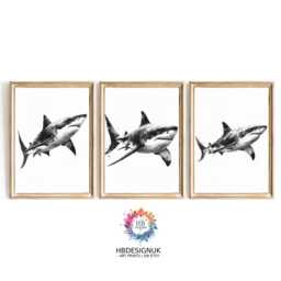 Black & White Shark Print Set Of 3 - Minimalist Ocean Animal Wall Art Watercolour Decor Unframed Gift For Lovers