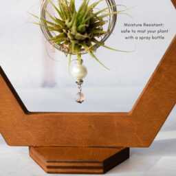 Hexagon Air Plant Holder Dark Walnut Wood, Beads & Crystal Decor - thumbnail 3