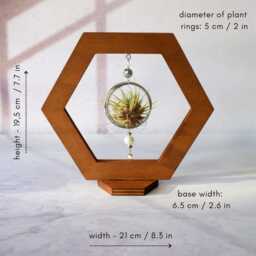 Hexagon Air Plant Holder Dark Walnut Wood, Beads & Crystal Decor - thumbnail 2