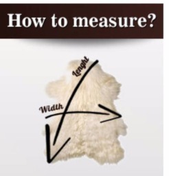 "xl Sheepskin Mouflon Rug Genuine Leather Salon Decor - 50""x 30" - thumbnail 4