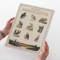 Minnesota Wildlife Wall Art Print - Vintage Animal Poster Design, Archival Quality Matte Fine Art Print. Outdoor, Wilderness State Gift - thumbnail 3