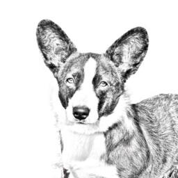 Cardigan Welsh Corgi - Wooden Stand For Candles/Pens With The Image Of A Dog New Collection - thumbnail 2