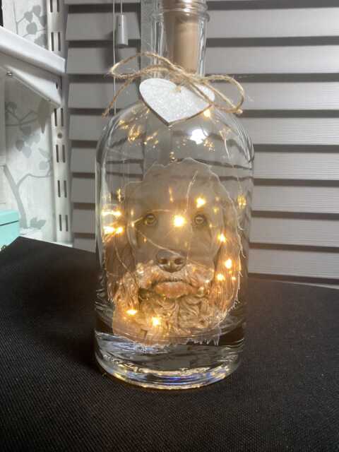 Personalised Cockapoo Light Up Bottle, Bottle Lamp With Gift Messaging Service & Bag - image 1