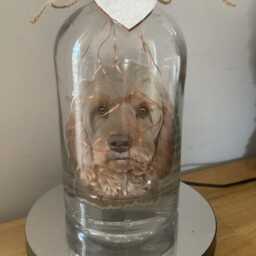Personalised Cockapoo Light Up Bottle, Bottle Lamp With Gift Messaging Service & Bag - thumbnail 2