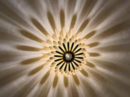 White Daisy Flower Ceiling Light, Wood Light Fixture, Wooden Lamp Shades, Semi Flush Mount Wood, Fixture - thumbnail 1