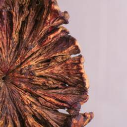 Wooden Dolphin Family Sculpture, Parasite Wood Statue, Figurine, Burl Wood, Little Decor, Unique Art, Table Gift For Mom - thumbnail 4