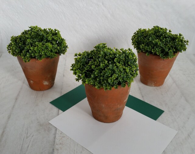 Faux Mind Your Own Business Plant in Genuine Vintage Hand Thrown Terracotta Pot Soleirolia Soleirolii - image 1