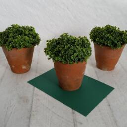 Faux Mind Your Own Business Plant in Genuine Vintage Hand Thrown Terracotta Pot Soleirolia Soleirolii - thumbnail 3