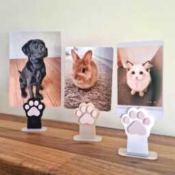 Pet Photo Holder Lover Gift Dog Cat Bunny Print Display Memorial Stand Frame Paw Decor Animal - thumbnail 2