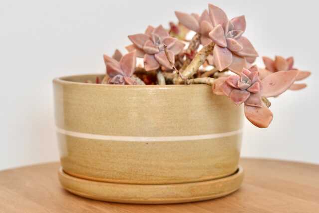 Handmade Stoneware Bonsai Pot Striped Matte Planter With Tray - image 1