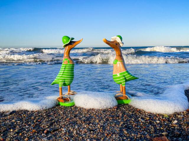 Running Duck With Hat & Flip Flops in A Green White Striped Swimsuit 25 cm High - image 1