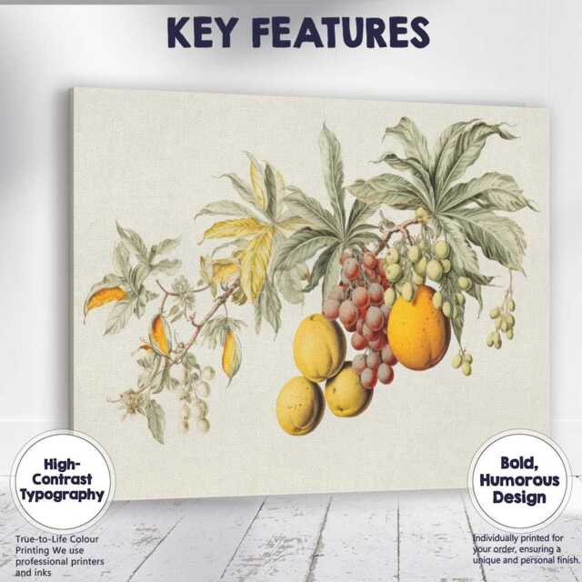 Vintage Citrus Grapes & Botanical Fruit Arrangement Canvas Wall Art Print Decor Picture Ready To Hang - image 1
