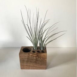 Walnut Desktop Organizer 6-Hole - thumbnail 1