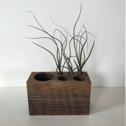 Walnut Desktop Organizer 6-Hole - thumbnail 4