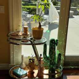Large Green Disco Cactus Dopamine Decor - thumbnail 2