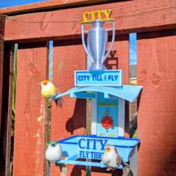 Manchester City Bird Feeder Football Fans Feeding Station - Quirky Garden Decor Wild Seed Tray Gift For Soccer City Fan - thumbnail 3