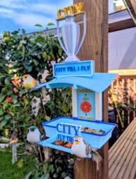 Manchester City Bird Feeder Football Fans Feeding Station - Quirky Garden Decor Wild Seed Tray Gift For Soccer City Fan