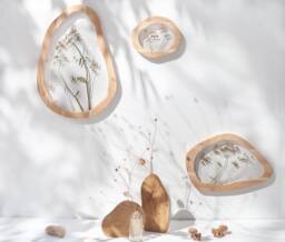 Wavy Pressed Flower Frame Set, Asymmetrical Herbarium Botanical Wall Art